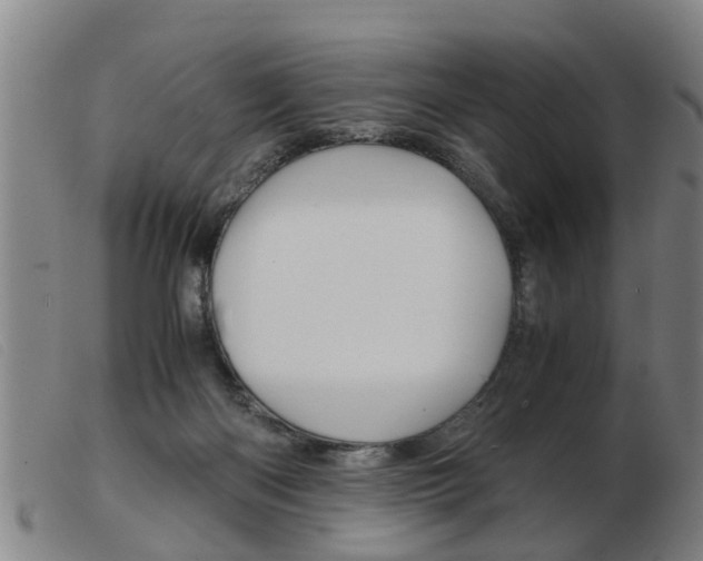 X0000103960122200809191343