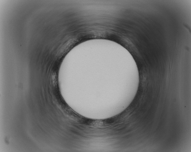 X0000103960123200809191343