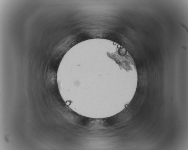 X0000103960125200809191343