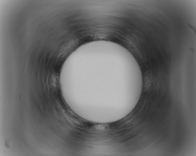 X0000103960126200809191343
