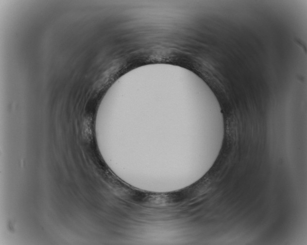 X0000103960127200809191343