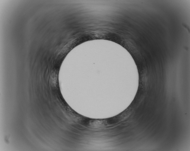 X0000103960129200809191343