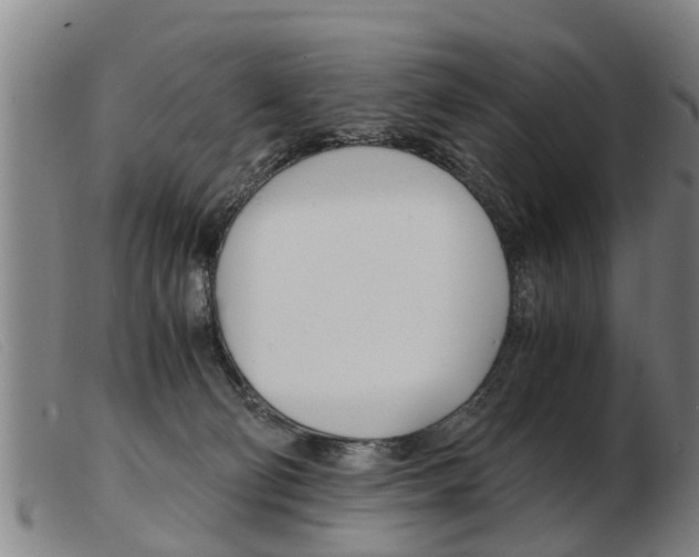 X0000103960130200809191343
