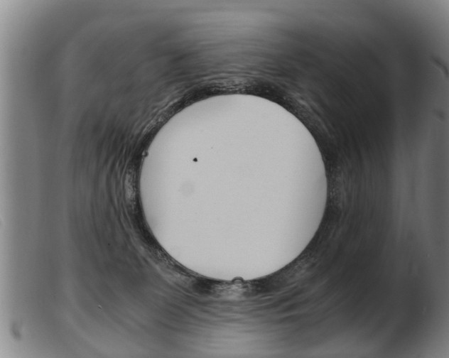 X0000103960131200809191343