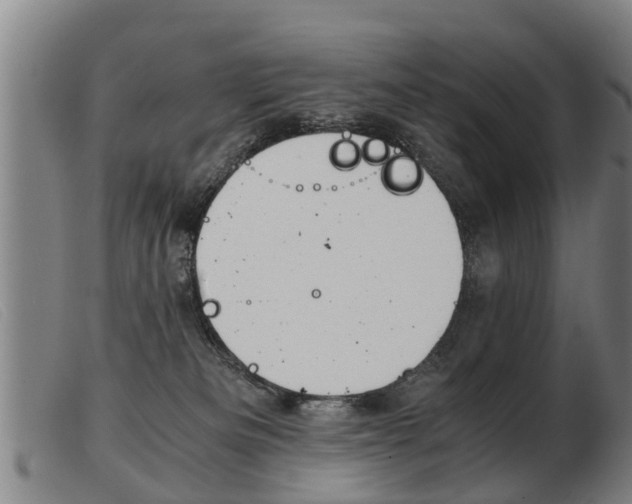 X0000103960133200809191343