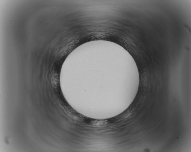 X0000103960135200809191343