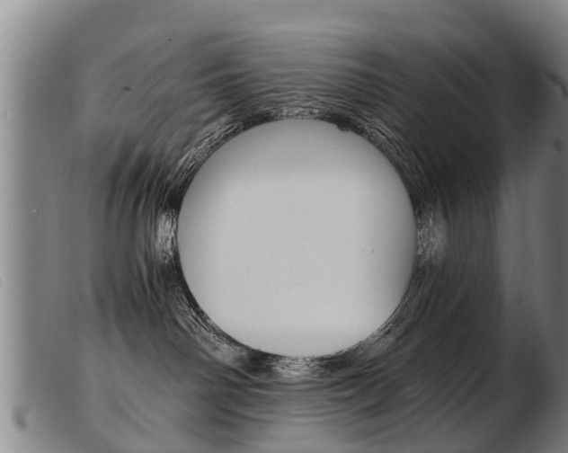 X0000103960142200809191343