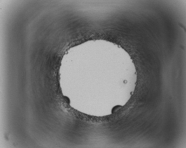 X0000103960144200809191343