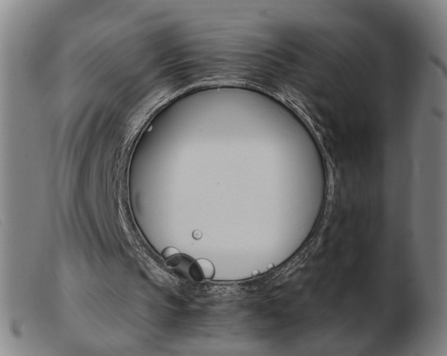 X0000103960145200809191342