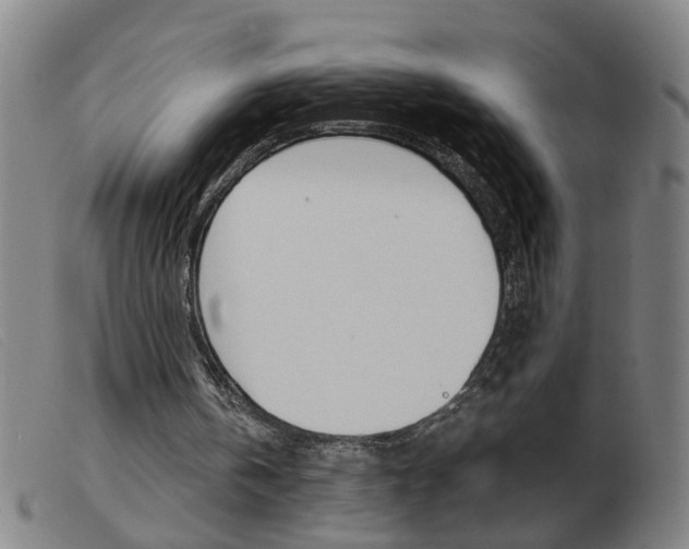 X0000103960146200809191342