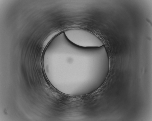 X0000103960147200809191342