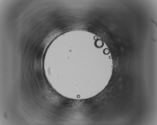 X0000103960148200809191342