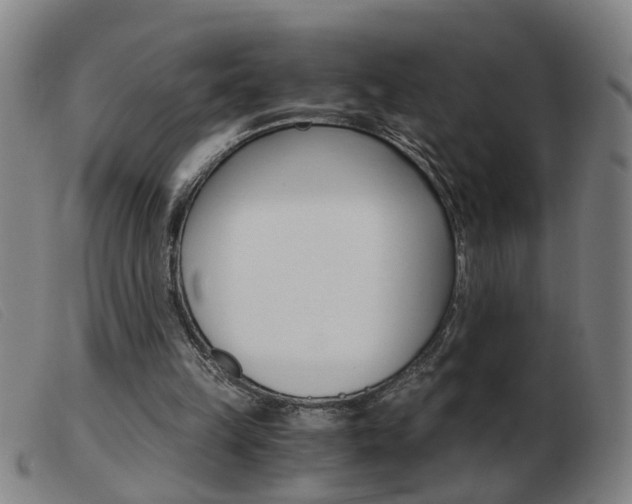 X0000103960149200809191342