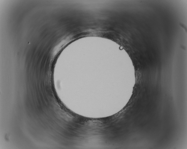 X0000103960150200809191342