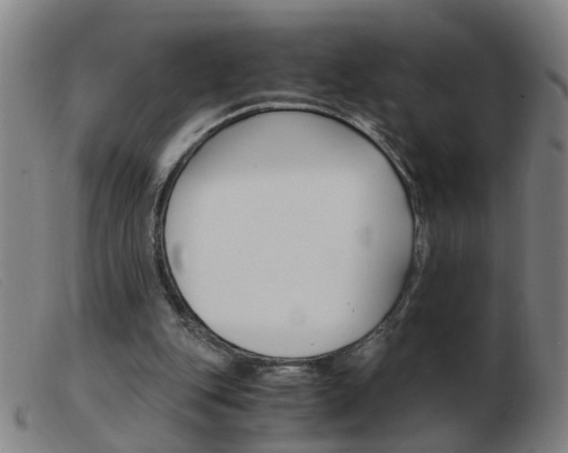 X0000103960151200809191342