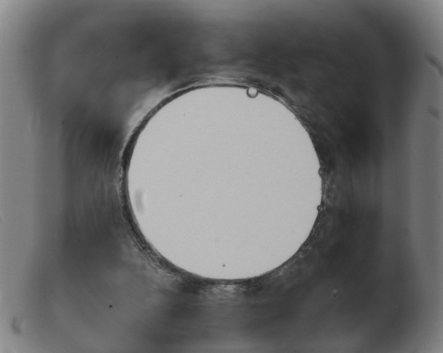 X0000103960152200809191342
