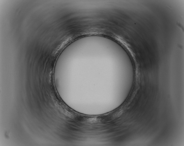 X0000103960153200809191343