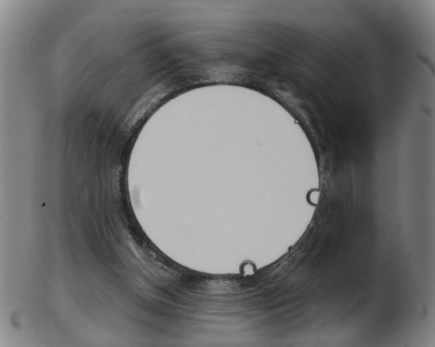 X0000103960154200809191343