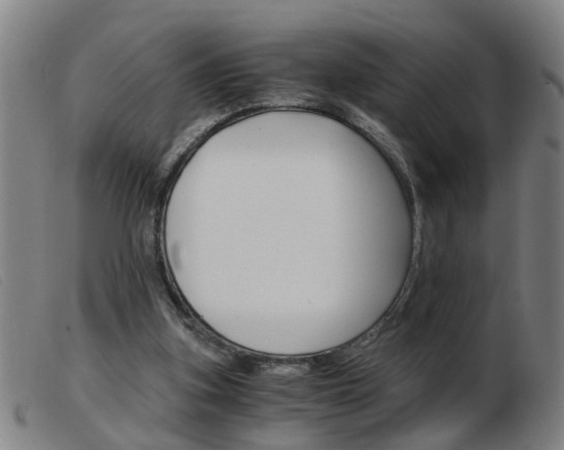 X0000103960155200809191343