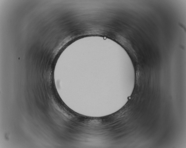 X0000103960156200809191343