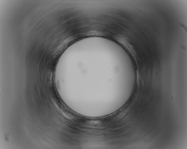 X0000103960157200809191343
