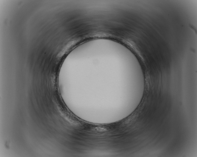X0000103960159200809191343