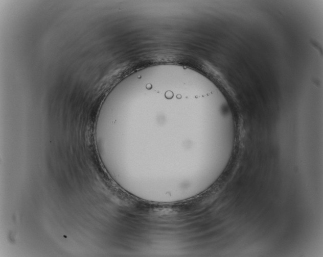 X0000103960161200809191343