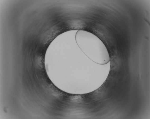X0000103960162200809191343