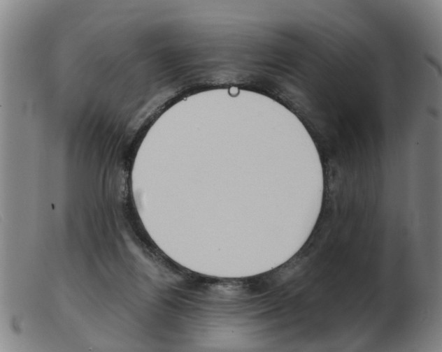 X0000103960164200809191343