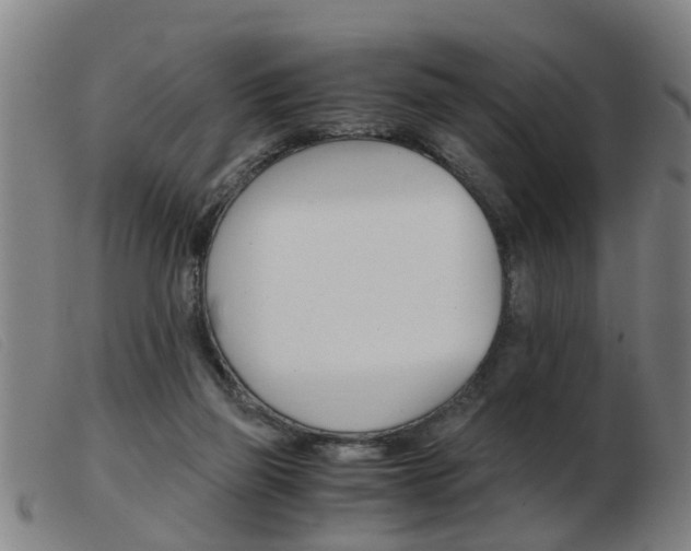 X0000103960165200809191343