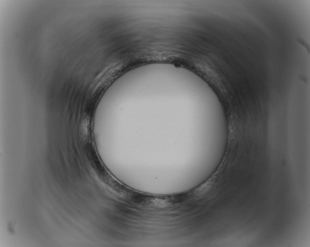 X0000103960166200809191343