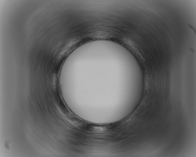 X0000103960167200809191343
