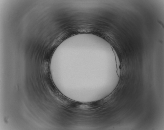 X0000103960171200809191343