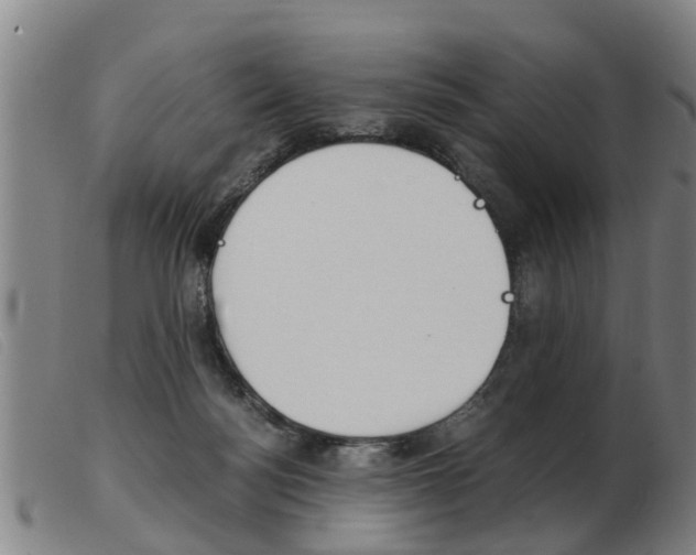 X0000103960172200809191343