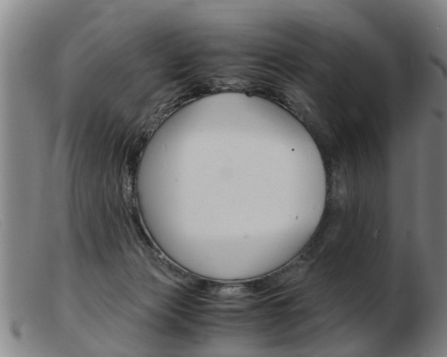 X0000103960173200809191343