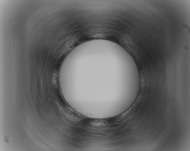 X0000103960175200809191343