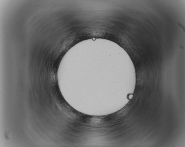 X0000103960176200809191343