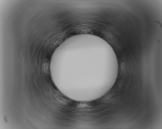 X0000103960177200809191343