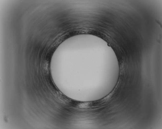 X0000103960178200809191343