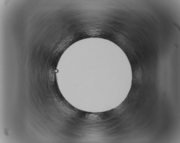 X0000103960180200809191343