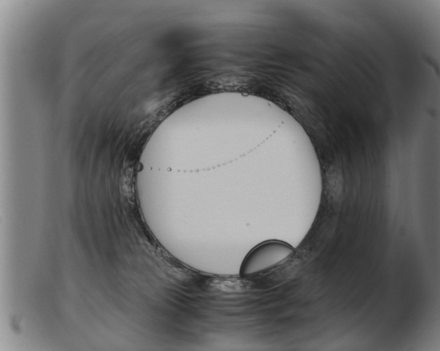 X0000103960181200809191343