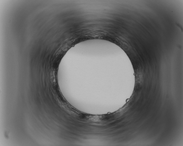 X0000103960182200809191343