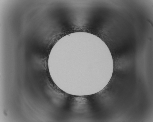 X0000103960183200809191343