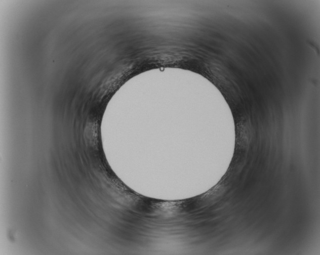 X0000103960184200809191343