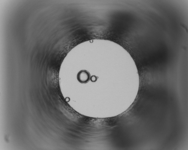 X0000103960186200809191343