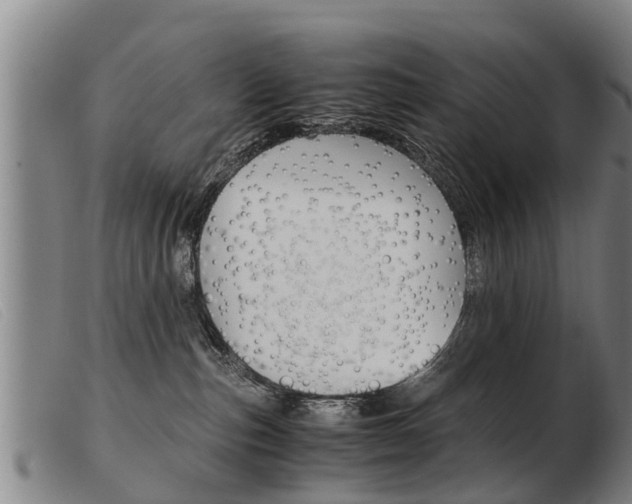 X0000103960187200809191343