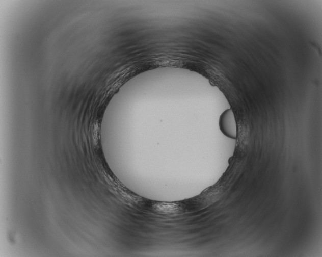 X0000103960189200809191343