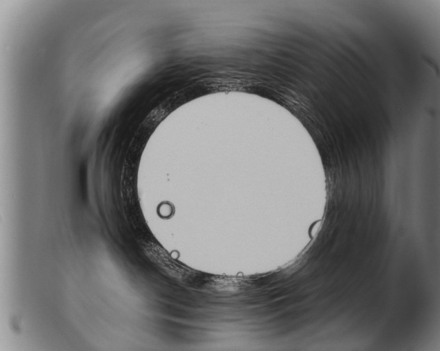 X0000103960190200809191343