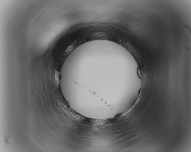 X0000103960191200809191343