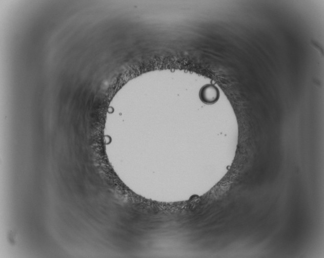X0000103960192200809191343